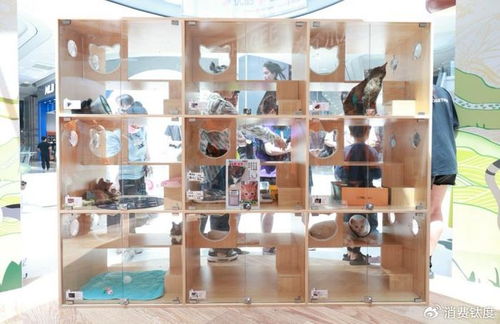 霸王茶姬 以寵粉文化用品，打造情感鏈接新標桿